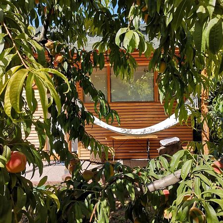 Relax Eaza - Casa Cu Hamac Villa Constanta Ngoại thất bức ảnh