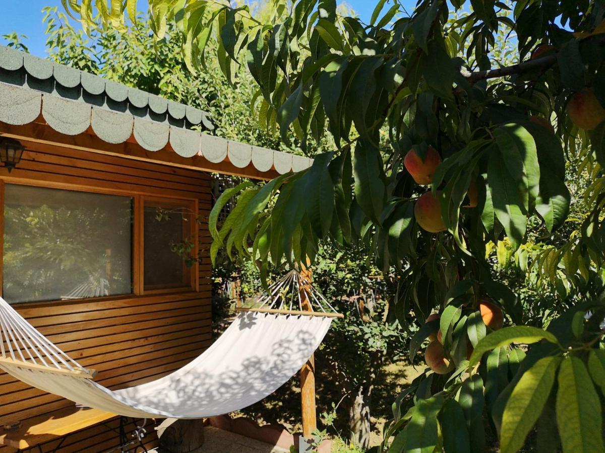 Relax Eaza - Casa Cu Hamac Villa Constanta Ngoại thất bức ảnh