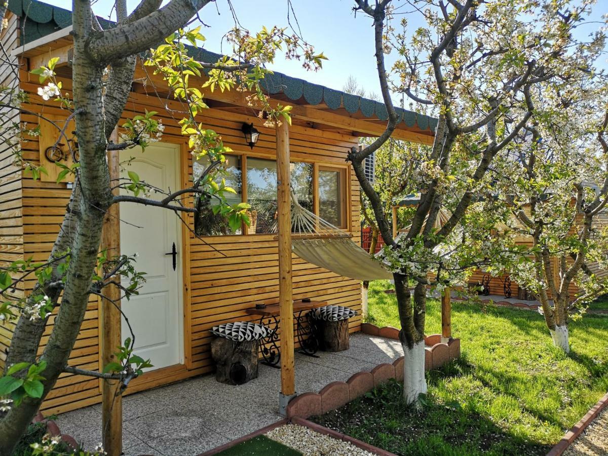 Relax Eaza - Casa Cu Hamac Villa Constanta Ngoại thất bức ảnh